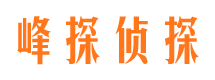 两当市婚外情调查